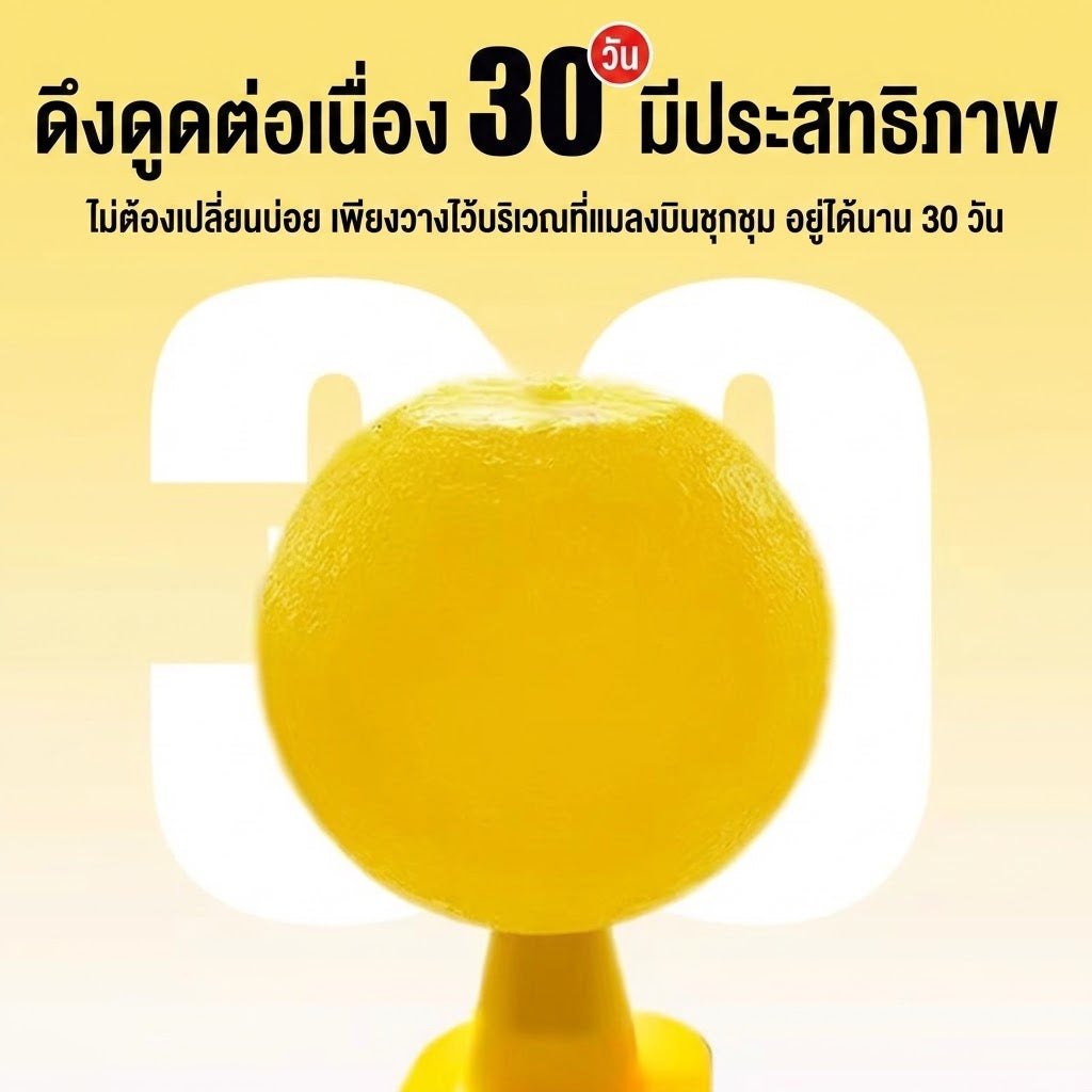 กับดักแมลงวันผลไม้