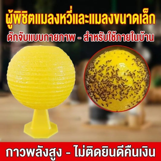 กับดักแมลงวันผลไม้