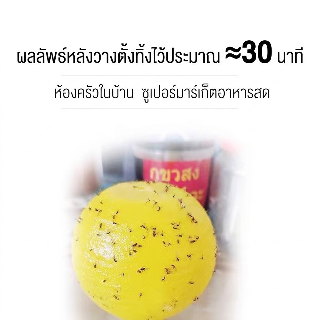 กับดักแมลงวันผลไม้