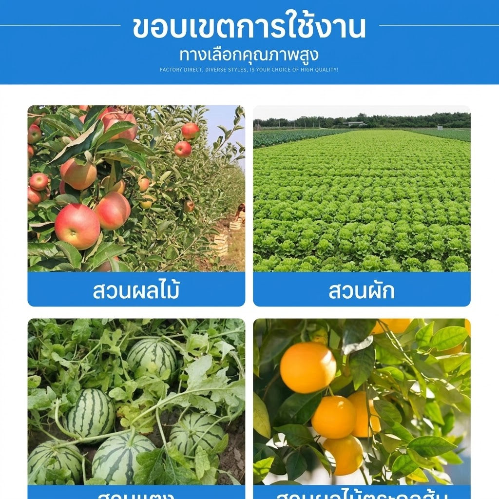 กับดักแมลงวันผลไม้