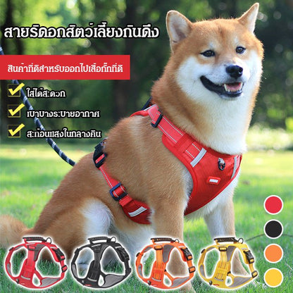 สายรัดอกสัตว์เลี้ยงกันดึง