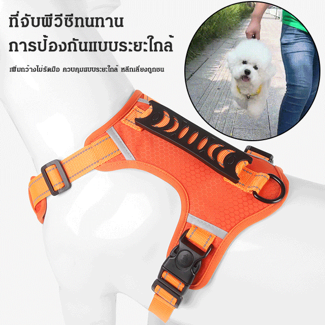สายรัดอกสัตว์เลี้ยงกันดึง