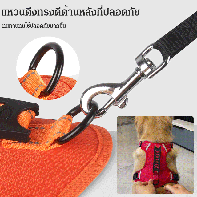 สายรัดอกสัตว์เลี้ยงกันดึง